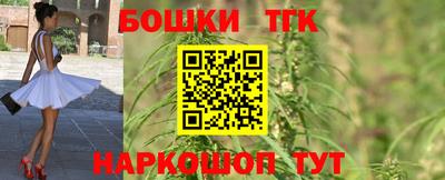 мдпв Гусев