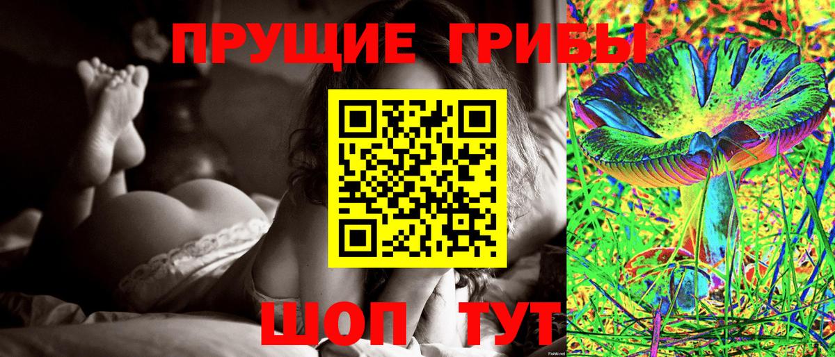 наркошоп  Мытищи  Псилоцибиновые грибы прущие грибы 